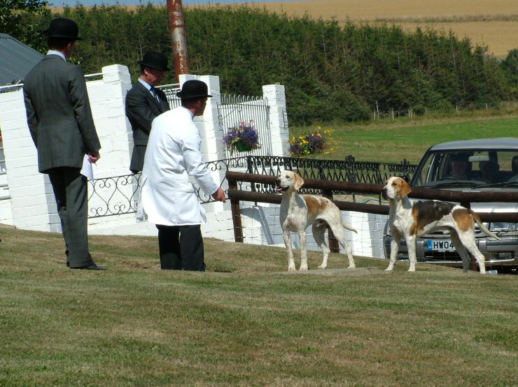 Isle of Wight Hunt Puppy Show 2004