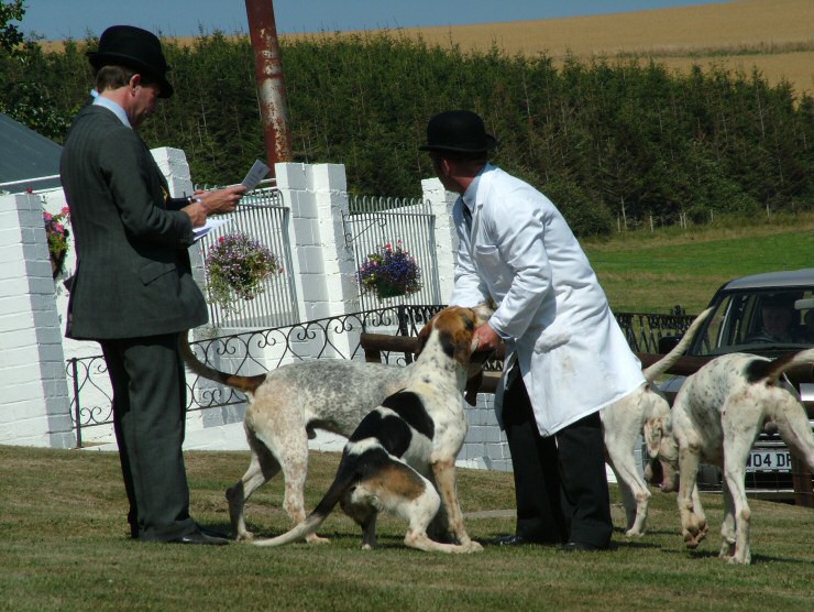 Isle of Wight Hunt Puppy Show 2004