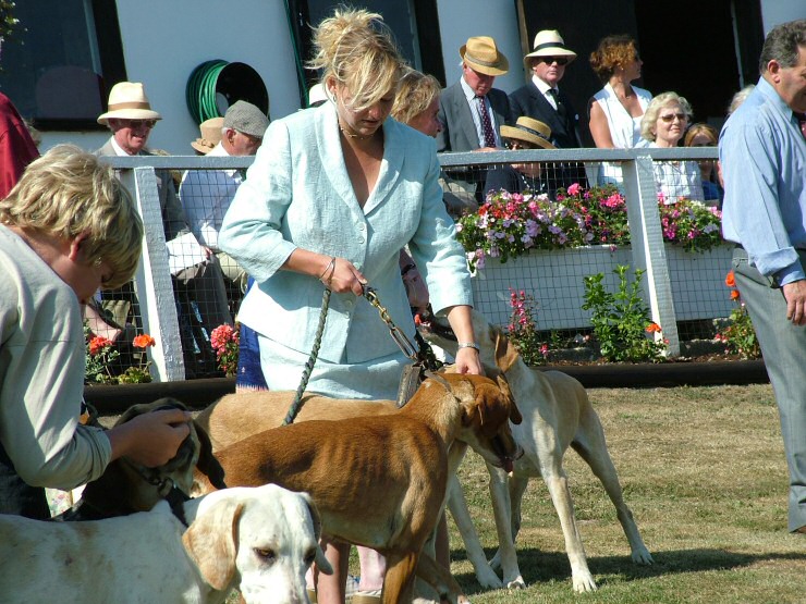 Isle of Wight Hunt Puppy Show 2004