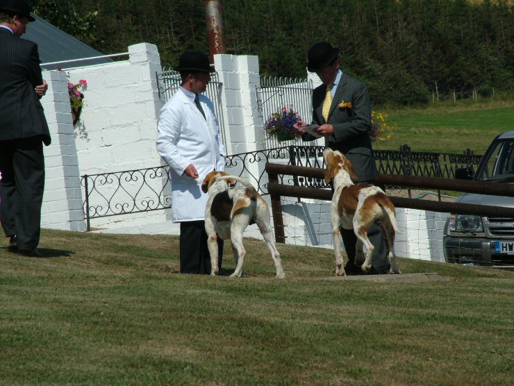 Isle of Wight Hunt Puppy Show 2004