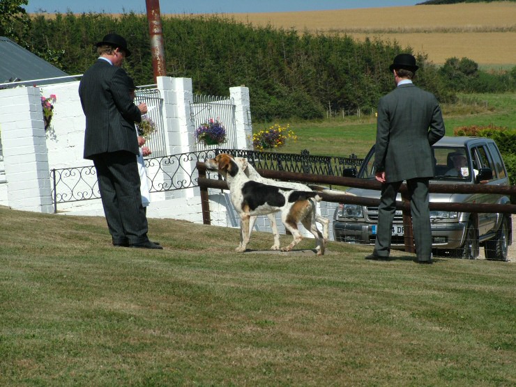 Isle of Wight Hunt Puppy Show 2004