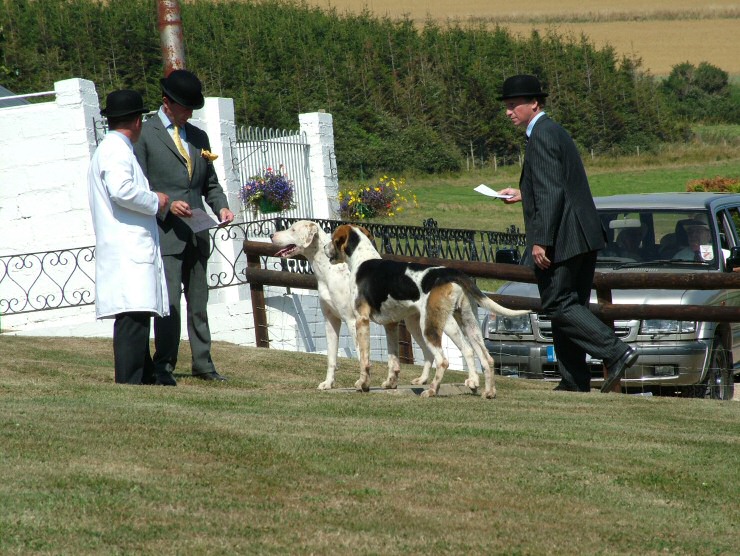Isle of Wight Hunt Puppy Show 2004