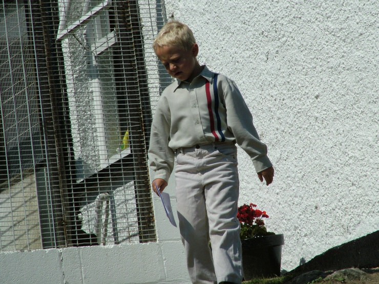 Isle of Wight Hunt Puppy Show 2004