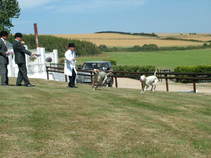 Isle of Wight Hunt Puppy Show 2004
