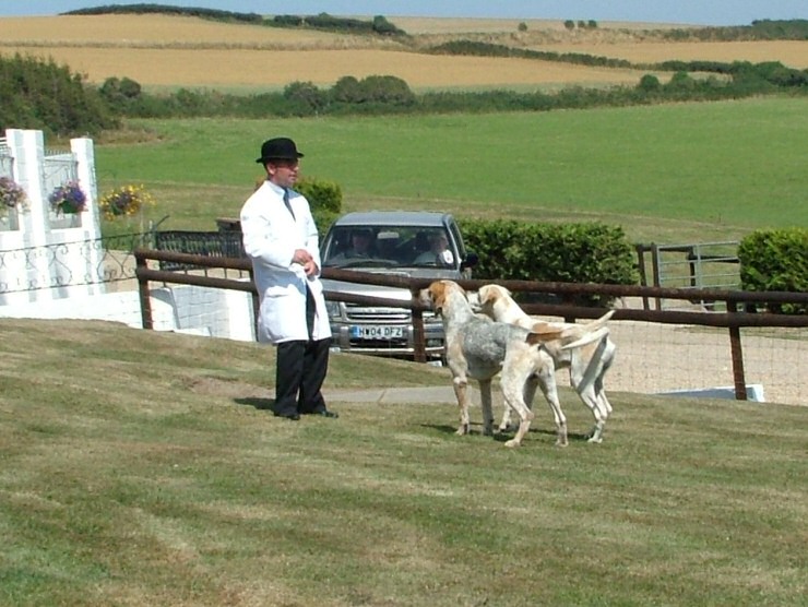 Isle of Wight Hunt Puppy Show 2004